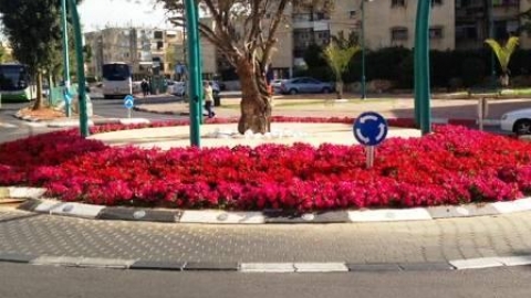 נמשכת תנופת הגינון והפיתוח הסביבתי ברמלה - נדל&quot;ן ודיור מקומי ברמלוד נט