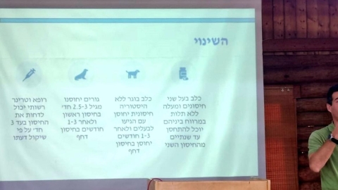 בעקבות שינוי חקיקה ארצי: החל מ-1 באפריל 2024 כלבי לוד יחוסנו כנגד מחלת הכלבת פעם בשנתיים - חדשות לוד ברמלוד נט